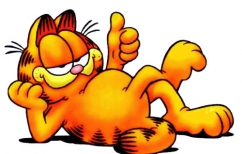 ΝΕΑ ΕΙΔΗΣΕΙΣ (Τι κάνει «νιάου νιάου»;)