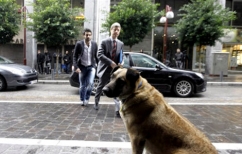 ΝΕΑ ΕΙΔΗΣΕΙΣ (Το διαδίκτυο νίκησε την τρόικα κι έσωσε τον «Ρούμπυ»)