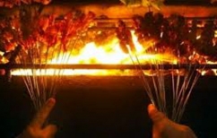 ΝΕΑ ΕΙΔΗΣΕΙΣ (Ο πόλεμος του μπάρμπεκιου)