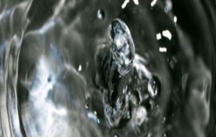 ΝΕΑ ΕΙΔΗΣΕΙΣ (Νέα μορφή ύλης: Ο πρώτος ζωντανός υγρός κρύσταλλος!)