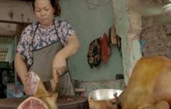 ΝΕΑ ΕΙΔΗΣΕΙΣ (Φρικιαστικές εικόνες από τη βιομηχανία σκυλίσιου κρέατος στο Βιετνάμ (ΒΙΝΤΕΟ))