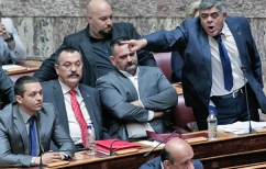 ΝΕΑ ΕΙΔΗΣΕΙΣ (Αποβλήθηκε η Χρυσή Αυγή από τη Βουλή μετά από εμπρηστική ομιλία)