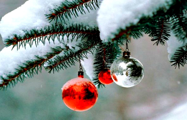 xristougenaxionia_madata_218348922