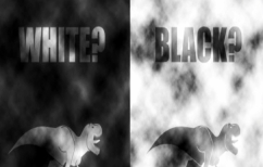 ΝΕΑ ΕΙΔΗΣΕΙΣ (Πόσο καλή είναι η όρασή σας; 5 ψευδαισθήσεις που θα σας «κάψουν» το μυαλό (ΒΙΝΤΕΟ))