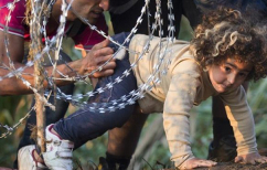 ΝΕΑ ΕΙΔΗΣΕΙΣ (Η εποχή των τεράτων)