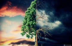 ΝΕΑ ΕΙΔΗΣΕΙΣ (Ο πιο σίγουρος τρόπος για να αλλάξεις μόνιμα την ζωή σου!)