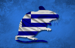 ΝΕΑ ΕΙΔΗΣΕΙΣ (Τα ποντίκια της Ελλάδας κατάντησαν αδέξια ζόμπι?)