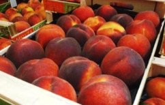 ΝΕΑ ΕΙΔΗΣΕΙΣ (Συμπληρωματική ενίσχυση 70 εκ. ευρώ σε Ευρωπαίους φρουτοπαραγωγούς)