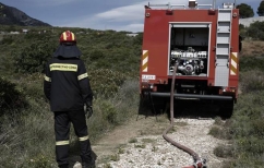 ΝΕΑ ΕΙΔΗΣΕΙΣ (Δύο συλλήψεις για εμπρησμό από αμέλεια σε δασική περιοχή στο Καρπενήσι)