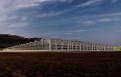 ΝΕΑ ΕΙΔΗΣΕΙΣ (Δράμα: Επένδυση 8 εκατ.ευρώ από την Wonderplant)