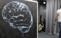 ΝΕΑ ΕΙΔΗΣΕΙΣ (Aπό την «ασθένεια της μόρφωσης» στην κοινωνία του Survivor)