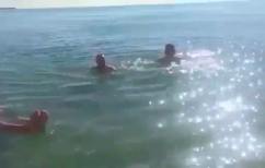 ΝΕΑ ΕΙΔΗΣΕΙΣ (Οι πρώτες χειμερινές βουτιές του 2018 στην Κομοτηνή)